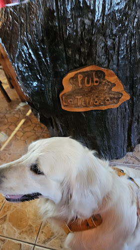 La Terraza Pub Restaurant - Panguipulli