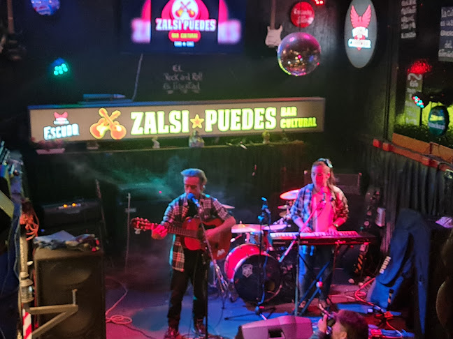 http://www.zalsipuedes.cl/