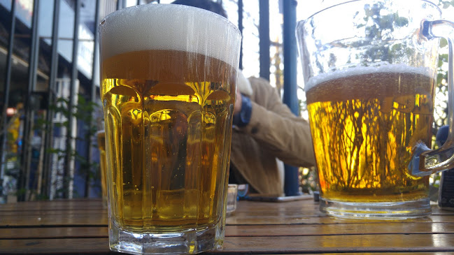 Comments and reviews of Palo Alto Restaurant