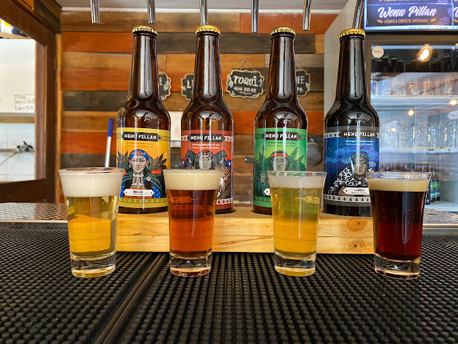 Wenu Pillán Cervecería y Restaurante - Gastronomía y hostelería