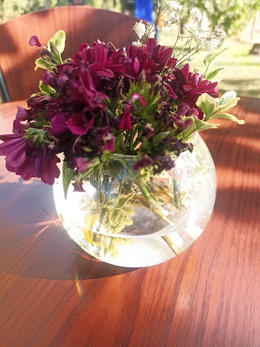 Café del vivero Phone number