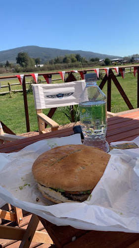 Comentarii opinii despre Fusión Sandwich , colo colo alto