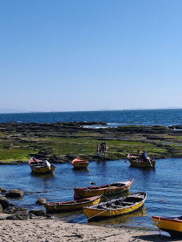 Comentarii opinii despre Faro Cocholgue Restaurante