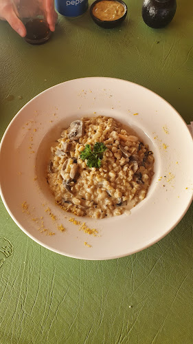 C. Guido Beck de Ramberga 536, 5210000 Panguipulli, Los Ríos