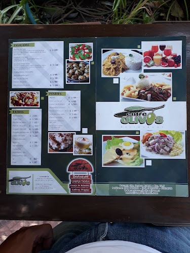 Entre Olivos - Arica