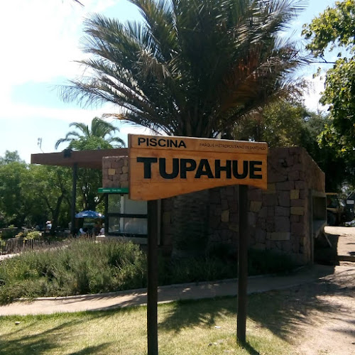 Restaurant - Shopería EL FITO Open Times