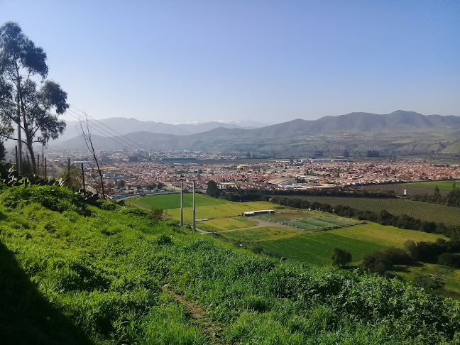 Marino Penna 651, 1840000 Ovalle, Coquimbo