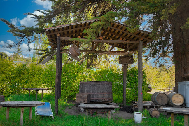 Comentarii opinii despre Viña Doña Luisa Millapoa