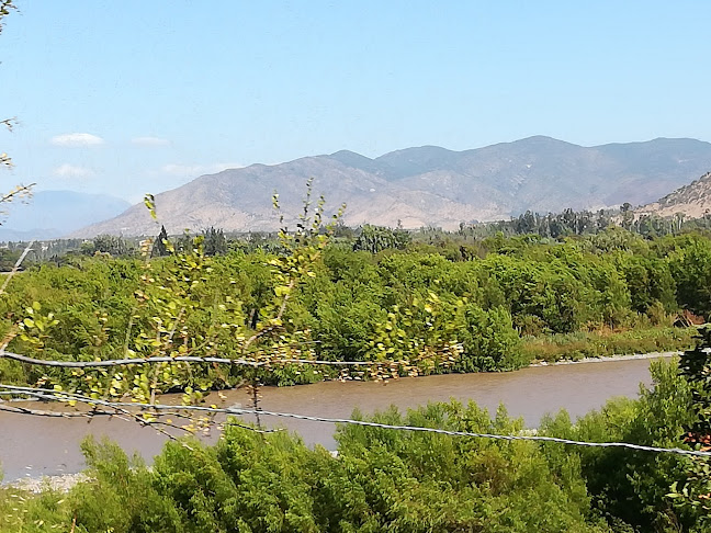 Agricola Cuncumen - Gastronomía y hostelería