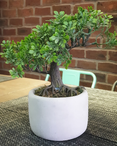 Re100hechas Phone number