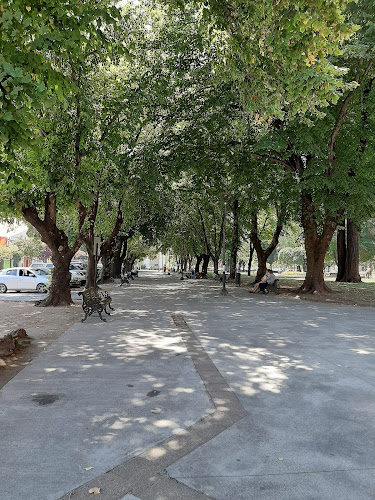 Condell 382, Los Angeles, Los Ángeles, Bío Bío