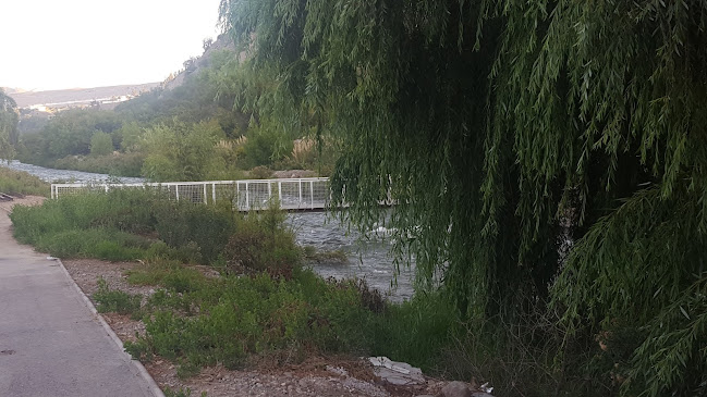 Juan Rene Salinas Ordenez