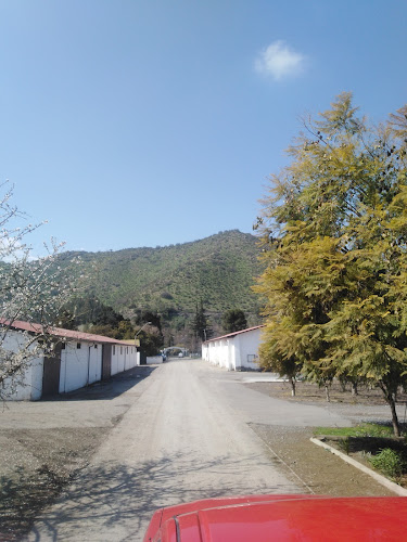 Opinii despre Fundo El Parrón în Buin - Gastronomía y hostelería