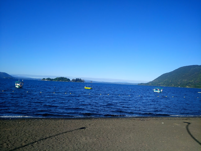 Sabores Del Sur Open Times