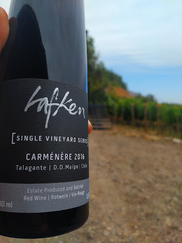 Comentarii opinii despre WINE SHOP BESOAIN LAFKEN