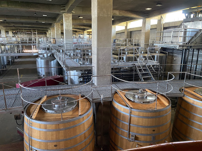 Viña Montes Alpha - Gastronomía y hostelería