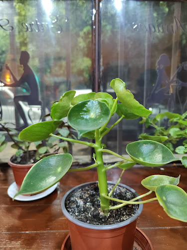 Entre Amigos Restobar - Gastronomía y hostelería