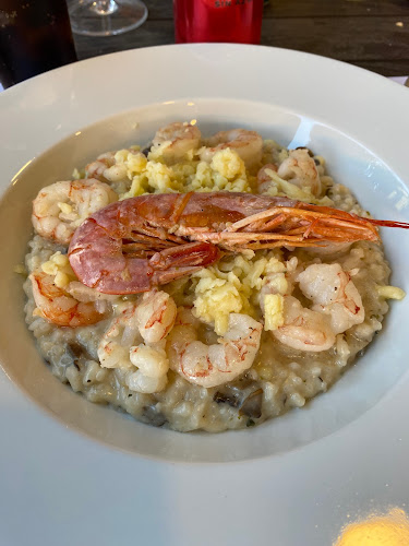 Opinii despre DC - Restaurant Don Camarón în Temuco - Gastronomía y hostelería