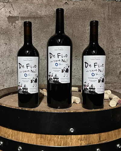 Punto Pipeño Open Times