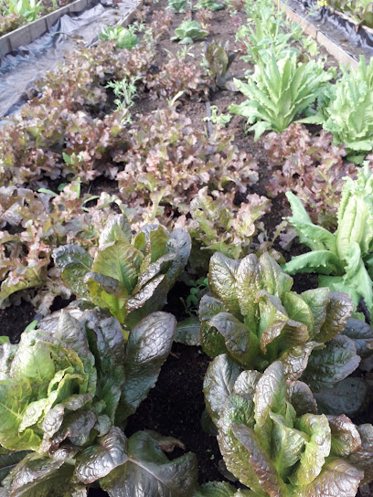 agroturismo los cipreses del quilar