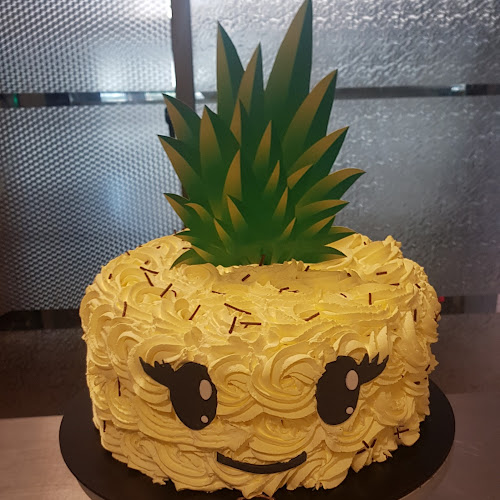 Pje. Cerro Loma Larga 3427, 8171026 Puente Alto, Región Metropolitana