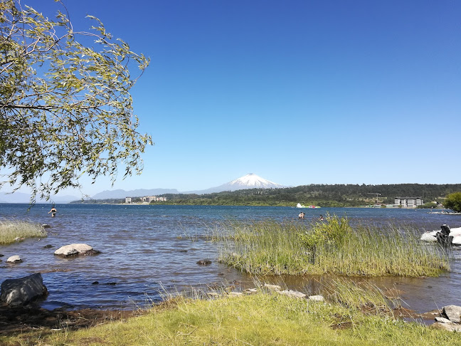 Comentarii opinii despre Restaurant el Rey del Marisco de Villarrica