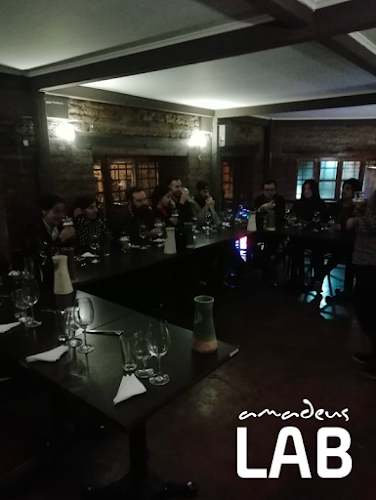 Amadeus LAB