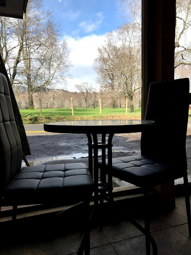 Punto Alemán Caburga