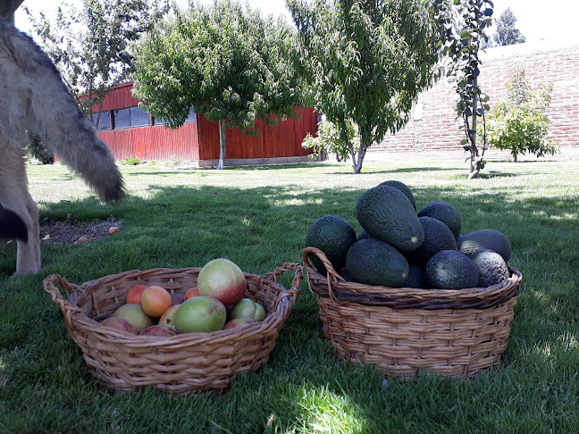 Parcela El Condor - Quillota