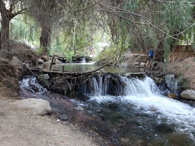 Las TERRAZAS DE DOÑA MELY Phone number