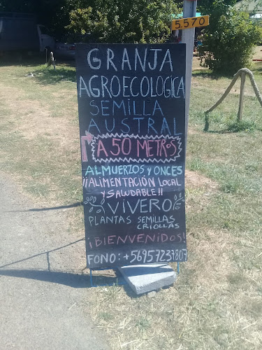 Comentarii opinii despre Sociedad Agropecuaria Punucapa S.A.