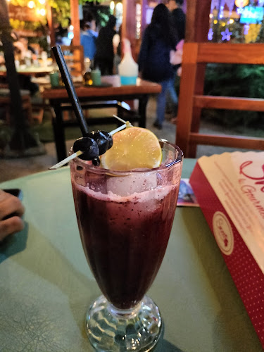 C. Guido Beck de Ramberga 536, 5210000 Panguipulli, Los Ríos