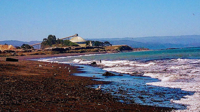 Comments and reviews of Administración Schwager