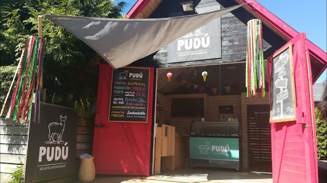 Helados Artesanales PUDÚ