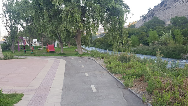 Reviews of Juan Rene Salinas Ordenez in Vallenar - Gastronomía y hostelería