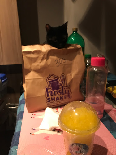 Opinii despre Frosty Shakes în Santiago - Gastronomía y hostelería