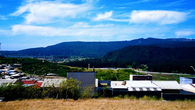 Rio petrohue - Coronel