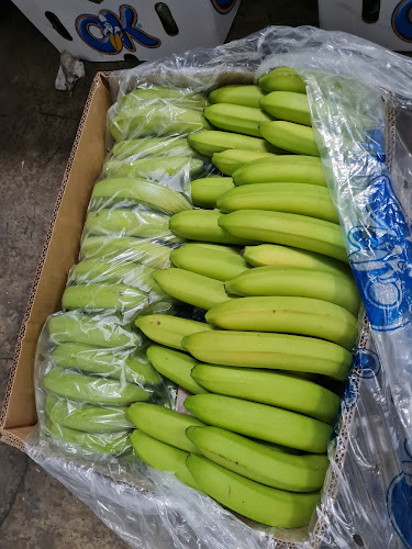 Opinii despre Bandelsur frigorifico Batuco în Batuco - Gastronomía y hostelería