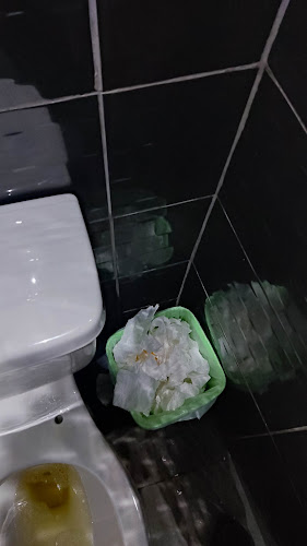 Bar El Bosque - Providencia