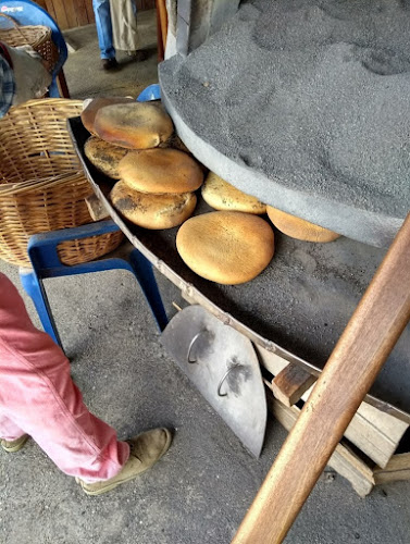 Los Hornitos De Lanco Phone number