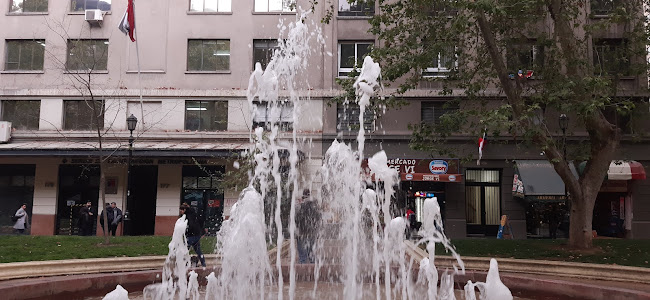 el ganso y la parrilla Phone number