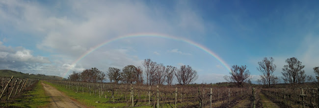 Agrícola Veghurt Phone number