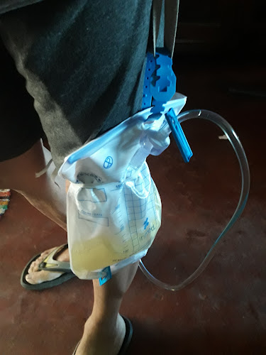 LA GRANJITA DE BOBADILLA Open Times