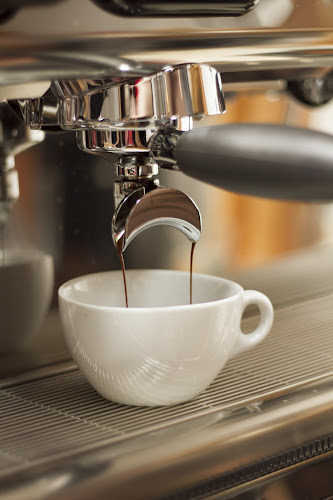 Roasty cafetería y tostaduria de especialidad - Gastronomía y hostelería