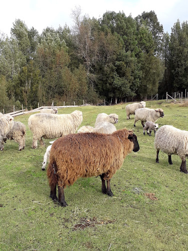 Opinii despre agroturismo los cipreses del quilar în Ancud - Gastronomía y hostelería