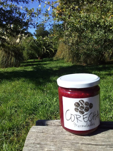 H-76 42, 2980000 Pichidegua, O'Higgins