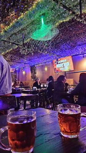 Bar El Bosque - Providencia