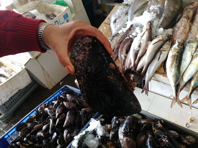 Reviews of Mercado de Mariscos Pelluhue in Las Lomas - Gastronomía y hostelería