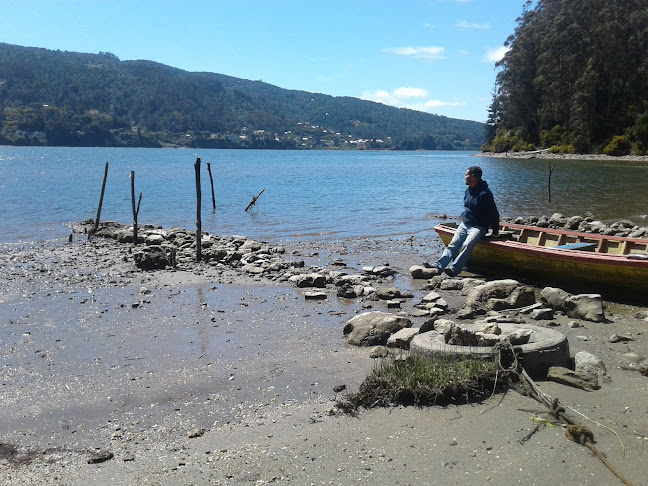 Restauran Y Camping Don De Siempre - Valdivia