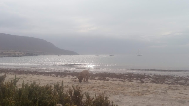 Bahia House - Gastronomía y hostelería